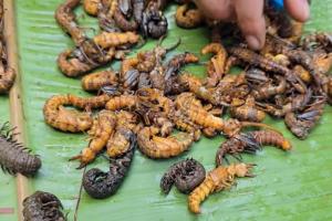 “Sợ xanh mặt” với 3 đặc sản miền Bắc: Nhìn rùng mình nhưng ăn là mê