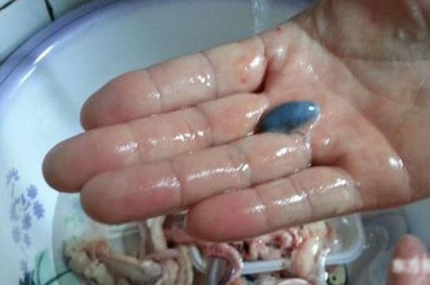 Người bán cá tiết lộ: 5 bộ phận đại bẩn của cá, tiếc đến mấy cũng đừng ăn kẻo rước bệnh