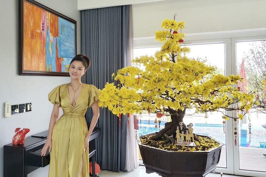 Biệt thự rộng 1300m2 của siêu mẫu Vũ Thu Phương bị trộm đột nhập