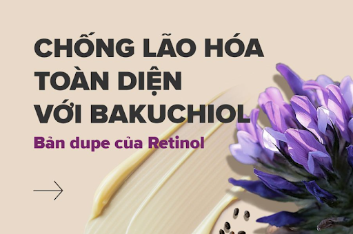 Bakuchiol là gì? Tại sao bạn nên sử dụng Bakuchiol để chống lão hóa cho làn da?